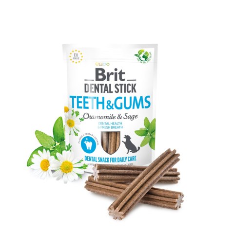 BRIT DENTAL STICK TEETH&GUMS 251G - ZĘBY I DZIĄSŁA