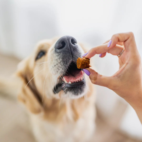 PERRO - BON BON WOŁOWINA 80G - ZDROWE STAWY - PRYSMAK Z DODATKIEM FUNKCYJNYM